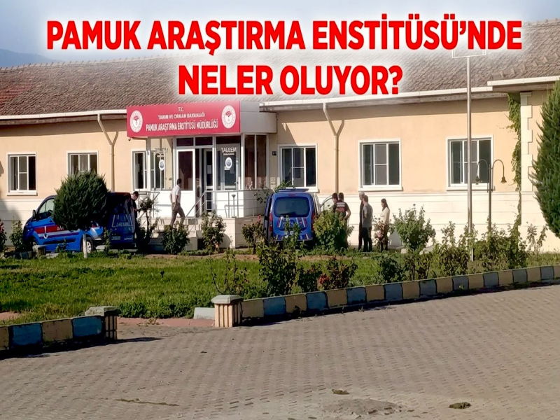 Nazilli Pamuk Araştırma Enstitüsü’ne Rüşvet Operasyonu